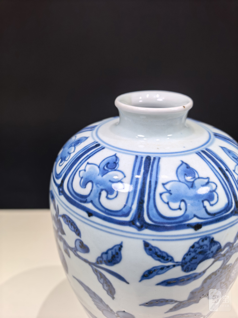 清雍正 仿永乐青花折枝花果纹梅瓶 - 图10